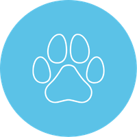 Untitled (100 x 100 px) (200 x 200 px)